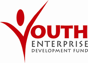 Youth Enterprise Development